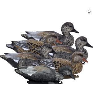 fully flocked gadwall decoys